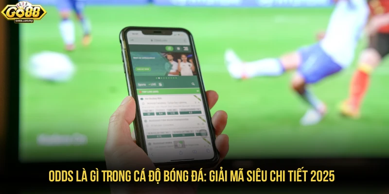 odds là gì trong cá độ bóng đá