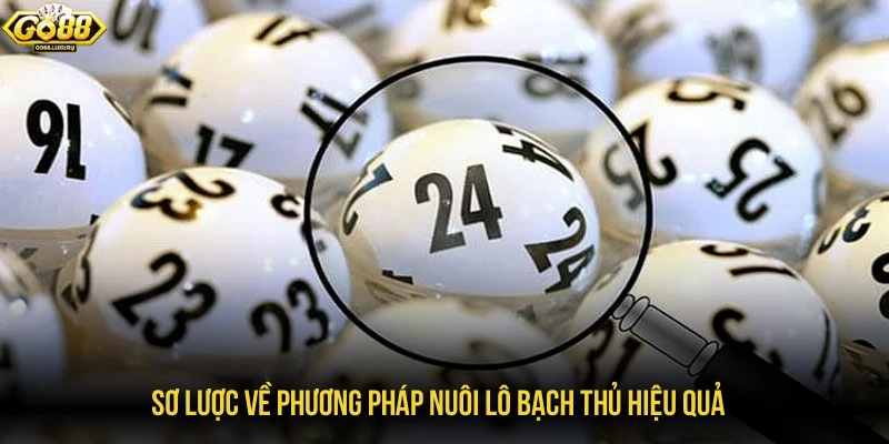 Sơ lược về phương pháp nuôi lô bạch thủ hiệu quả