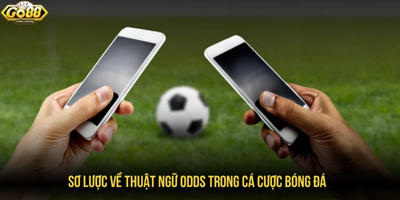 Sơ lược về thuật ngữ odds trong cá cược bóng đá