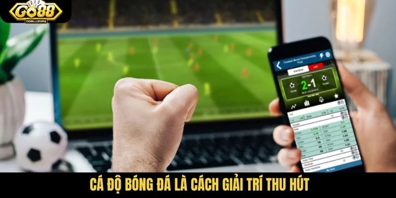 Cá độ bóng đá là cách giải trí thu hút